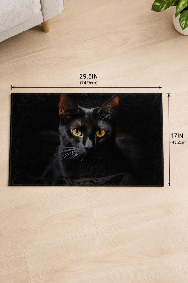 Black Cat Indoor Door Mat, 29.5x17in, Non-Slip PVC Floor Rug